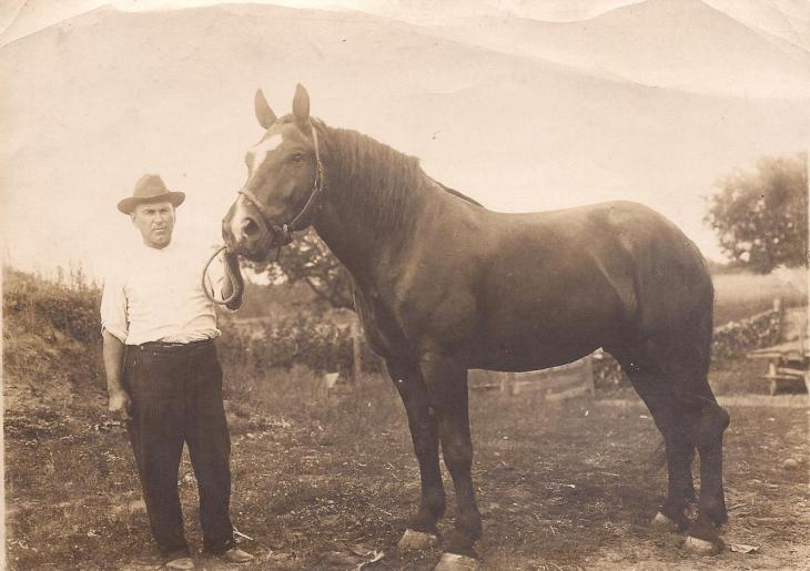 This is my great-grandpa, Harry Robinson, with his horse, because the impulse of people to pose with their awesome machines is older than the Trans-am.
